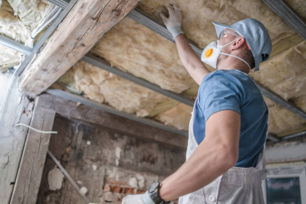 Best Local Insulation Services  in North Puyallup, WA